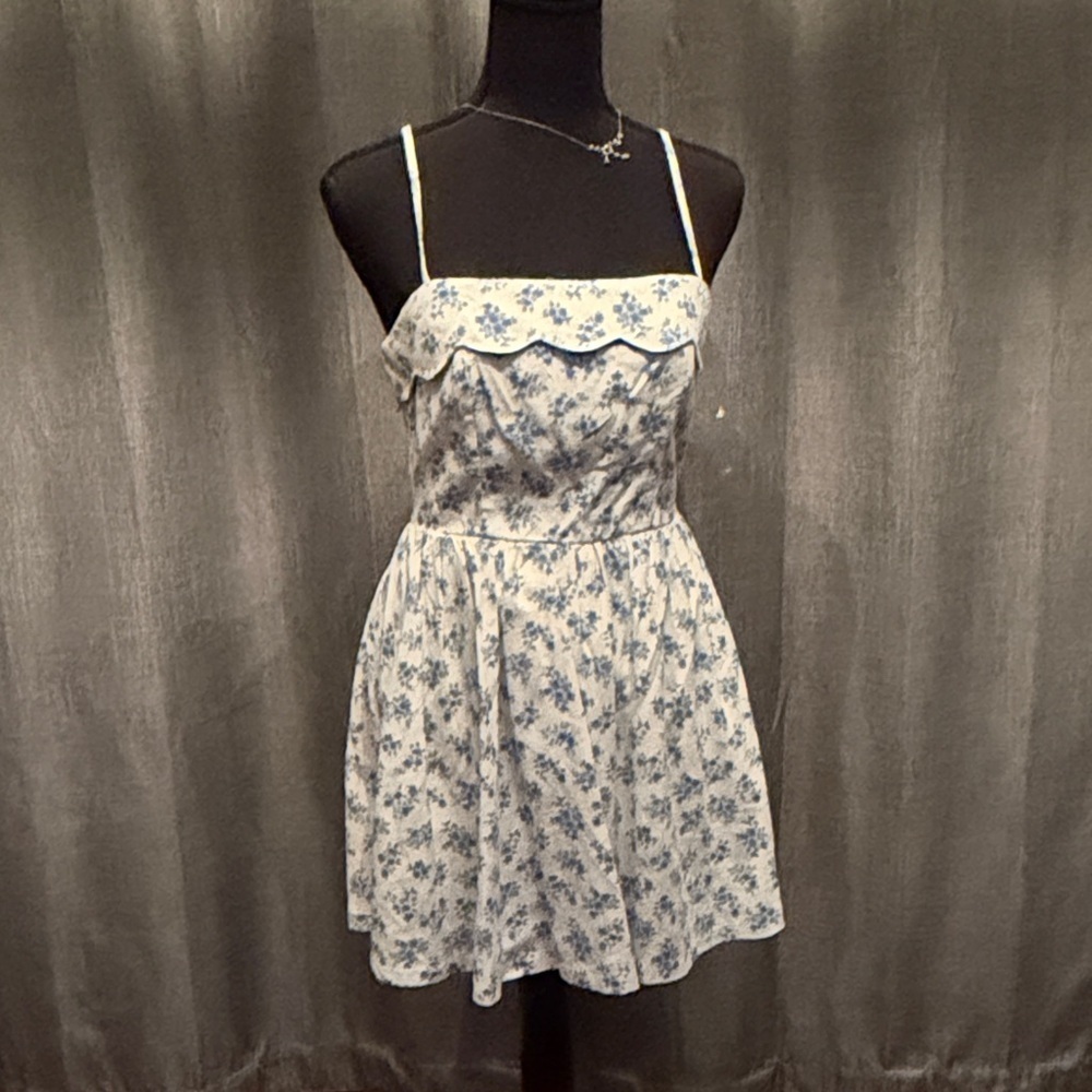 Trixxi White and Blue Floral Mini Dress